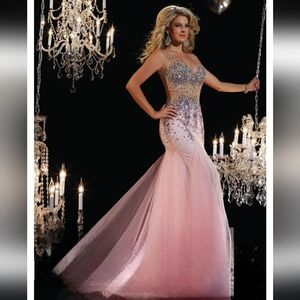 Nwot Panoply Cotton Candy Pink Tulle Aurora Borelle V Neck Illusion Formal Gown